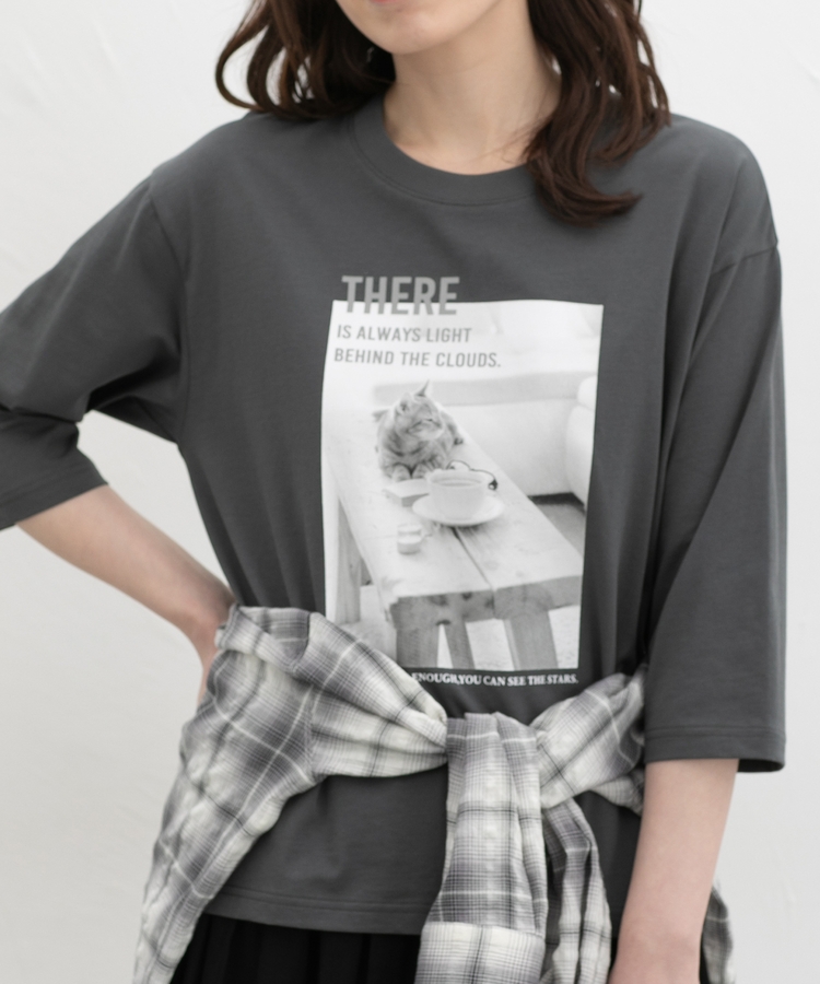 �V�����t�H�g�v�����g�s