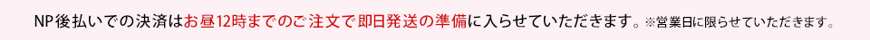 NP�㕥���ł̂��x�����ɂ���