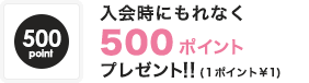 ����ɂ���Ȃ�500�|�C���g�v���[���g�i1�|�C���g\1�j