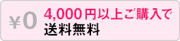 4,000�~�ȏ�ő�������