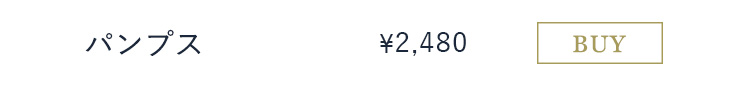 �p���v�X